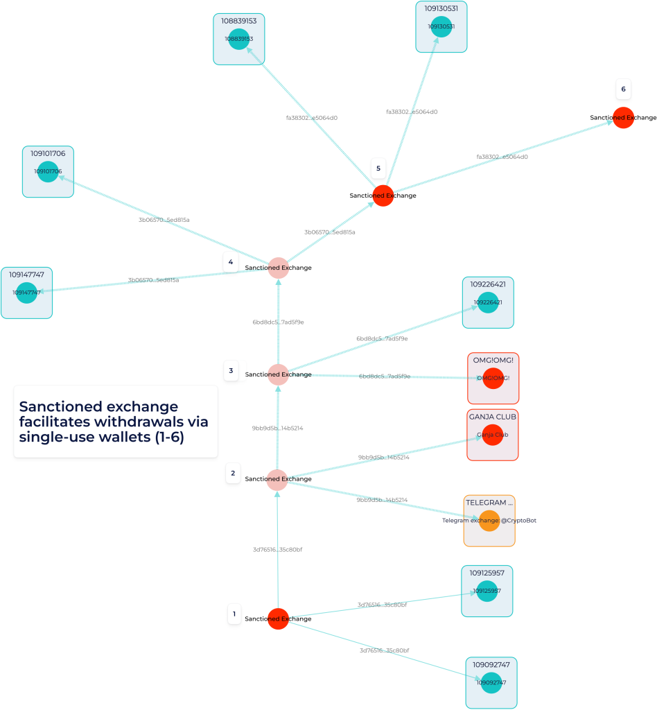 Screenshot from GL Vision showing withdrawals via single-use wallets in the Bitcoin network